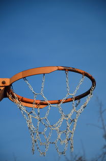 Ac米兰俱乐部官网-篮球运动员专项体能训练计划智能化设计与实施,篮球运动员体能训练的内容有哪些