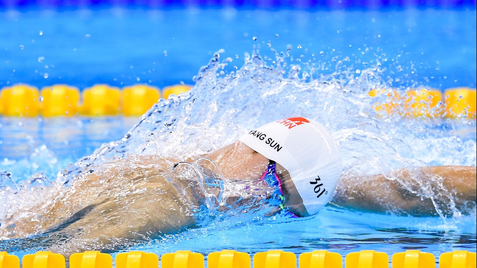 综合格斗赛事人气持续上升