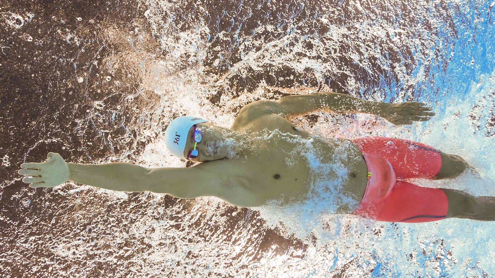 综合格斗赛事人气持续上升